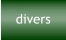 divers